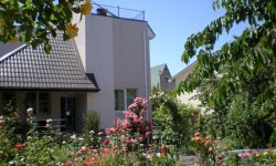 Вишневый сад