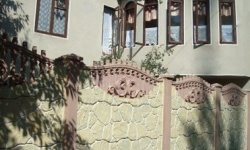 chajka Чайка