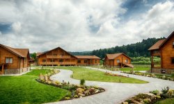 ТАОР Карпаты