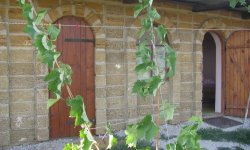 ryjij-botsman Рыжий Боцман