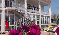 Десять звезд