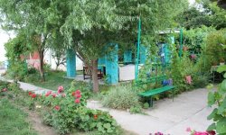 flora Флора