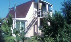 nastusyaden Nastusyaden