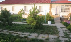 u-nikolaya У Николая