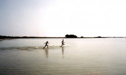 Ларина Дача