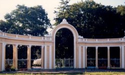 Зеленый гай