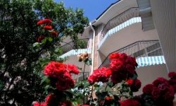 paradiz Парадиз