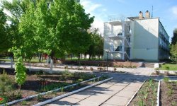 berezka Березка