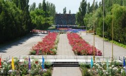 Красная гвоздика