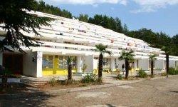chajka Чайка