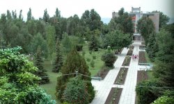 jemchujina Жемчужина