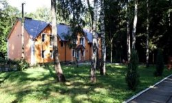 Березовый гай