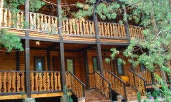 Лесной домик