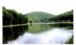 krinitsya Криниця