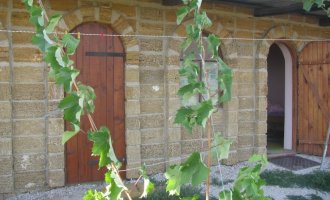 Рыжий Боцман