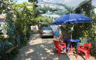 ул Петровского 84