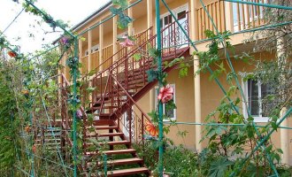 Відродження