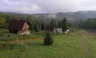 Карпатські полонини