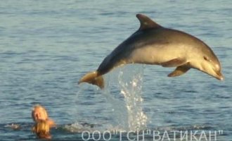 ул Галины Петровой 5