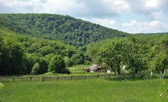 Цілющі джерела