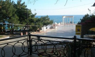 Красный мак