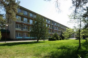 Лесная песня