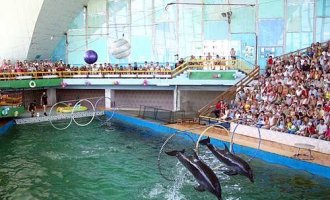 Дельфинарий