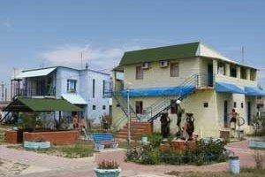 Морская звезда