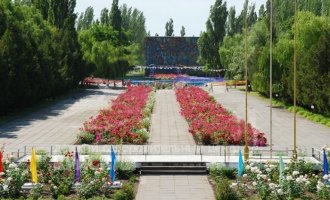 Красная гвоздика