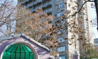 Белая акация