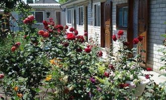 Уютный дворик