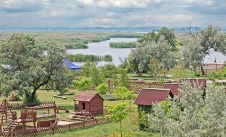 Новоселица