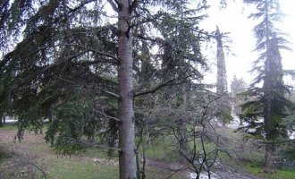 Квартира Ленина 60