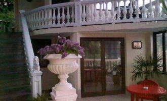 Стиль Белого Льва