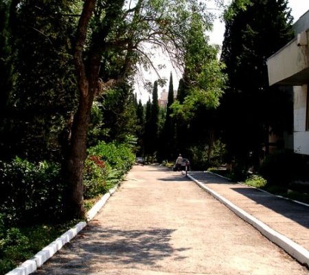 Санатория в Профессорском уголке