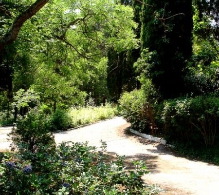 Отдых в Профессорском уголке