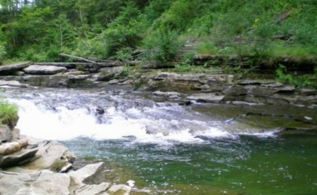 Отдых в Карпатах