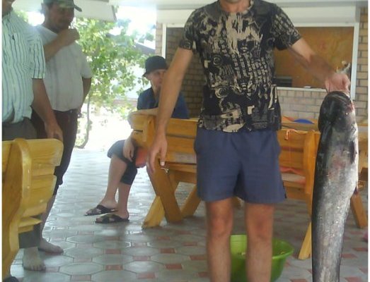 Приморское, база отдыха Меркурий Приморское, база отдыха Меркурий