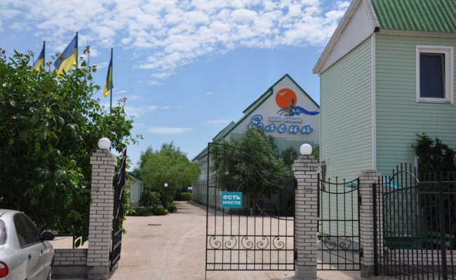 аллея, розы