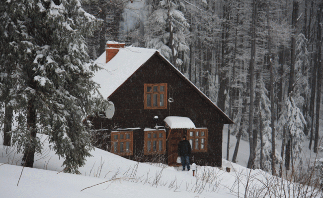 Коттедж отеля Карпатські полонини Коттедж отеля Карпатські полонини