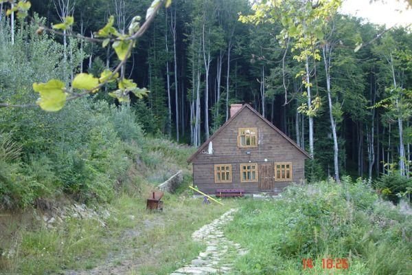 Летний отдых в Карпатах Летний отдых в Карпатах