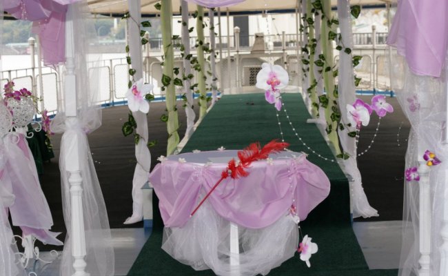 Свадебная церемония на теплоходе, Киев Свадебная церемония на теплоходе, Киев