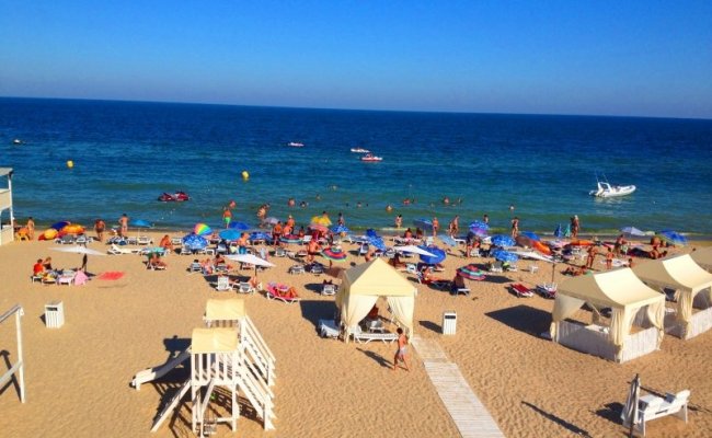 Пляж, отдых в Грибовке Пляж, отдых в Грибовке