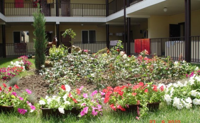 база отдыха Водный мир, клумба