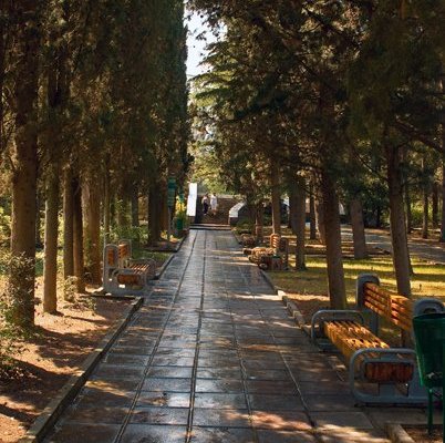 Санаторий "Алуштинский", аллея