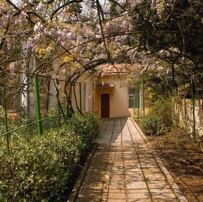 Санаторий "Алуштинский", аллея