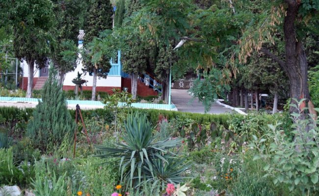 Сатера, клумба