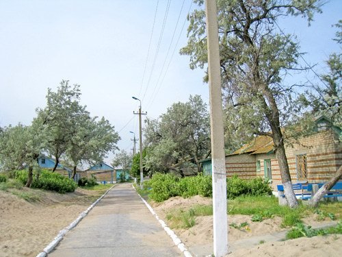 База отдыха Прибой, территория