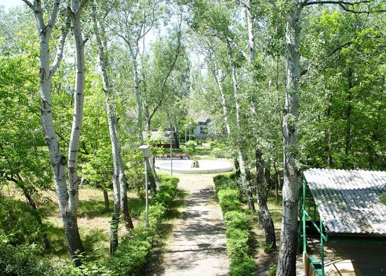 территория детского лагеря