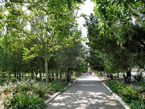 Санаторий в Бердянске, территория